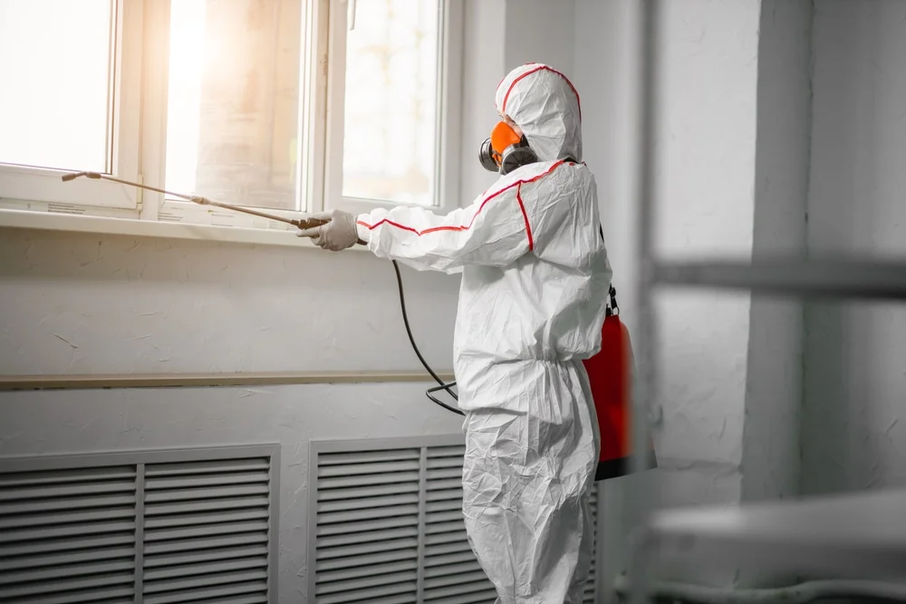 Professional mold remediation services in Blakely Island, WA